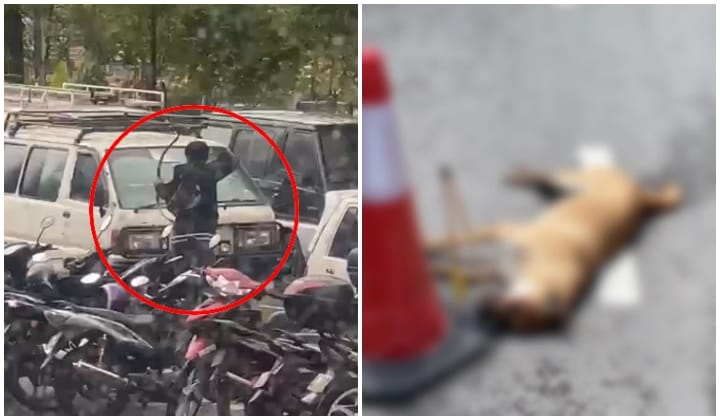 Polis Buru Lelaki Panah Kepala Anjing Sehingga Mati Di Wangsa Maju