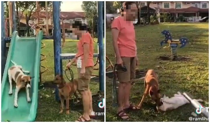 Penduduk Tegur Individu Bawa Anjing Main Gelongsor Di Taman Permainan