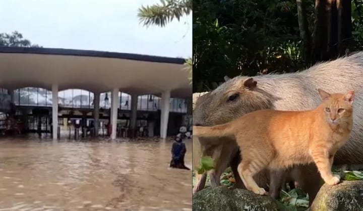 oyen zoo negara banjir